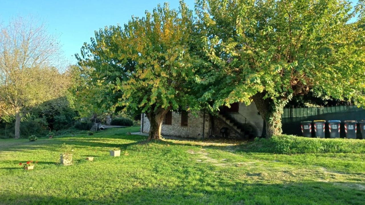 Agriturismo Canonici Amelia Luaran gambar